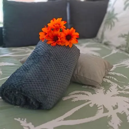 דירה Avec Jardin - Centre-ville A 10 Minutes A Pied *