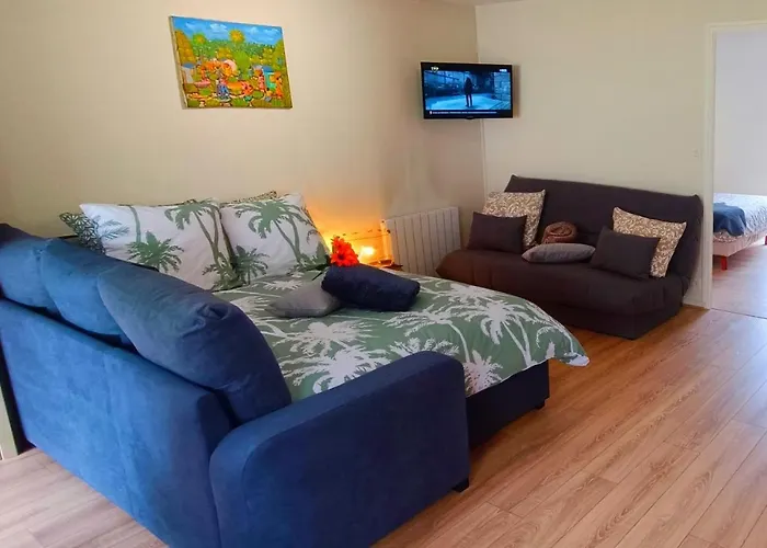 Daire Avec Jardin - Centre-ville A 10 Minutes A Pied